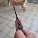 Coleira Guia Retrátil 3/5 Metros Pets Cachorro Cães Gatos Resistente Com Trava Até 11.33kg