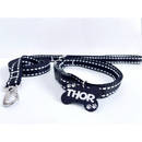 Coleira e Guia para Cachorro com Plaquinha de Identificação