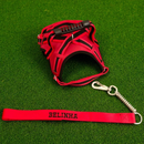coleira e Guia para cachorro nome personalizado coleira peitoral conforto peiteira sistema amortecedor impacto regulagem