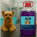 Shampoo Pet 5L Antipulgas e Condicionador 2 em 1- Lavanda- ENVIO IMEDIATO