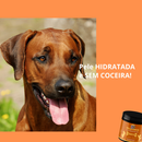 Suplemento Vitamina PELUDINHOS p/ Cachorro PELO e DERME Saboroso Dermatite Queda Derme Brilho Formato de Ossinho