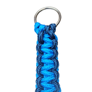 Guia Unificada para Cães de Médio e Grande Porte