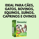 3 Suplemento Vitamínico Mineral Para Animais Cevavita 200g