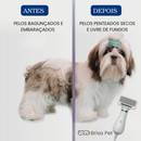 Escova Pet Secadora Elétrica 2 em 1