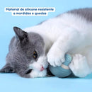 Bola Inteligente Interativa para Gatos