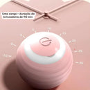 Bola Inteligente Interativa para Gatos