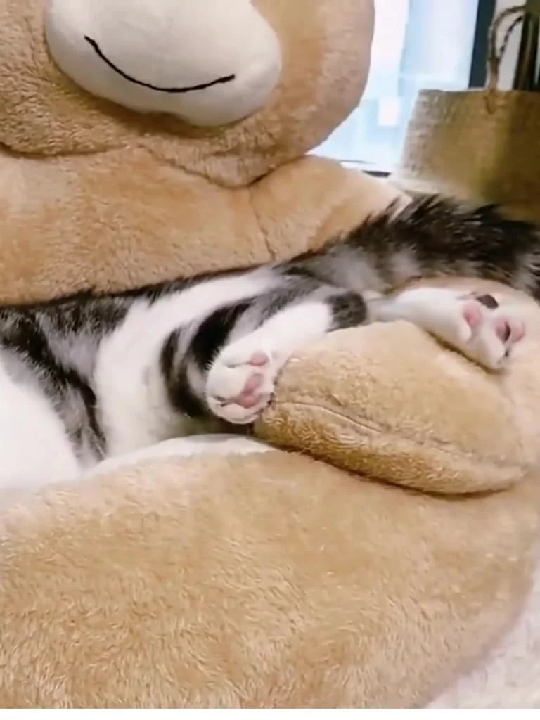 Caminha Pet Premium Cães e Gatos Tamanho Pequeno Porte