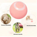 Bola Inteligente Interativa para Gatos