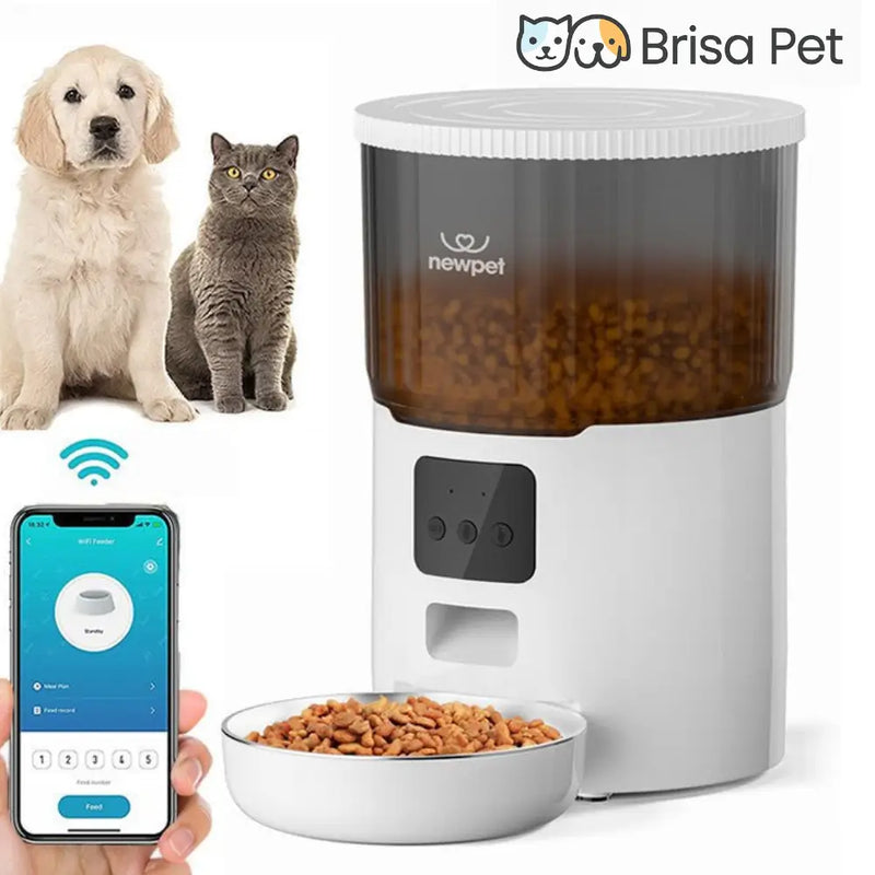 Alimentador Automático  Petluzzi  4L |AEDEUS Atrasos na Alimentação e Aproveite o Desconto BLACK FRIDAY