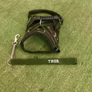 Peitoral Califórnia