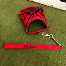 Peitoral Califórnia