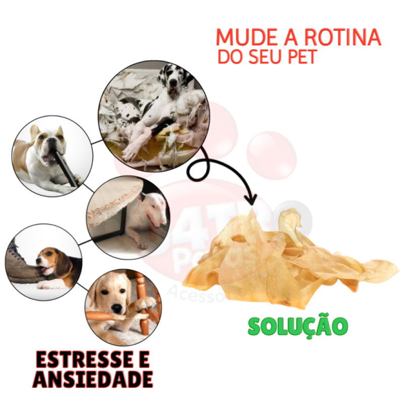 Brinquedo petisco pet para caes cachorro orelha bovina natural mordedor contra bafo tartaro kit 10