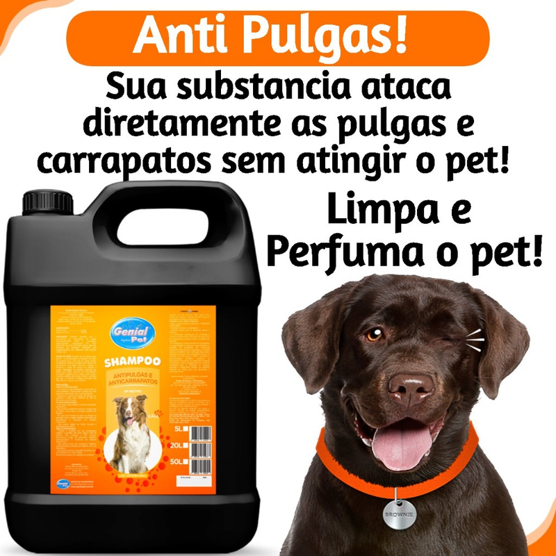 Shampoo Anti Pulgas e Carrapatos 5 Litros