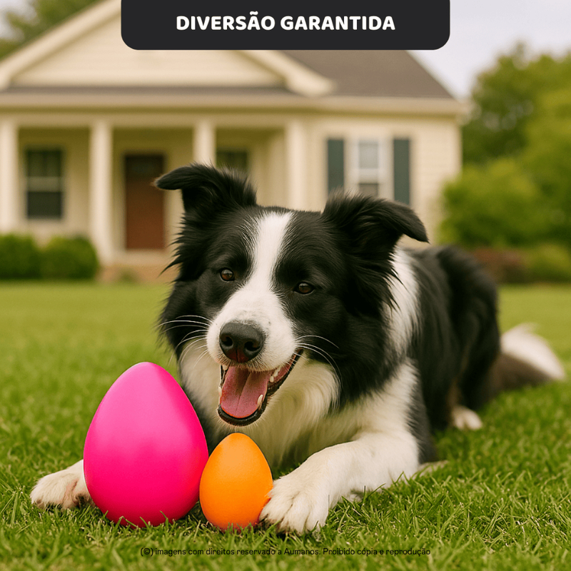 Brinquedo para Cachorro Pet Ovo Maluco Bolinha Interativa