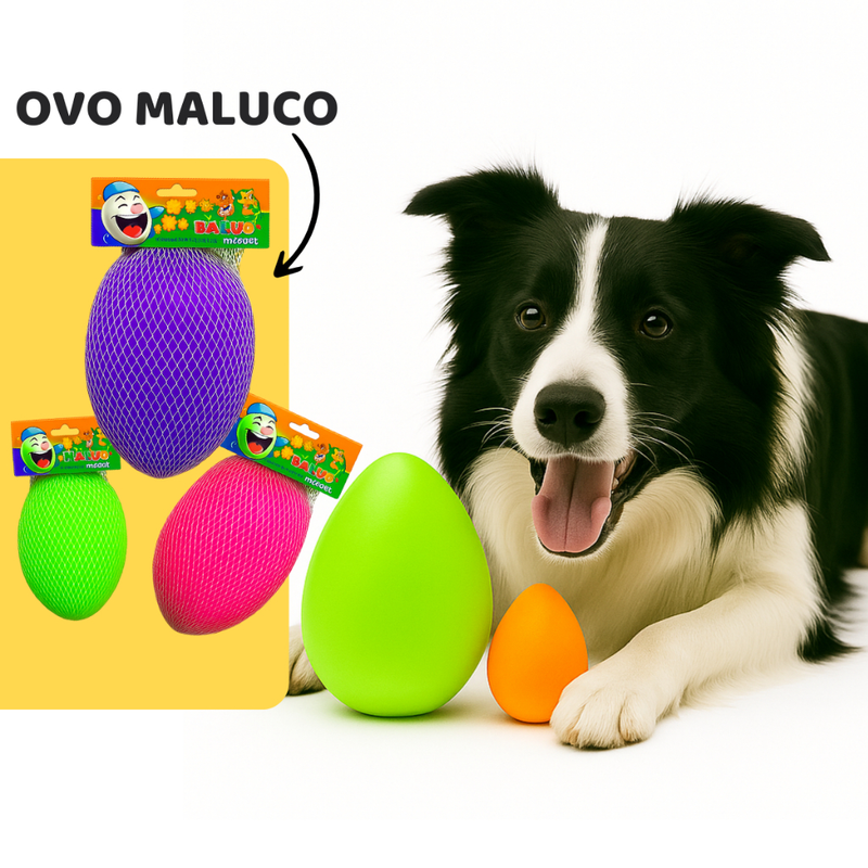 Brinquedo para Cachorro Pet Ovo Maluco Bolinha Interativa