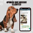 Caminha de Cachorro Cama Pet Sherpa Reforçada Tamanho M e G Cachorro e Gato Luxo Pelucia Confort