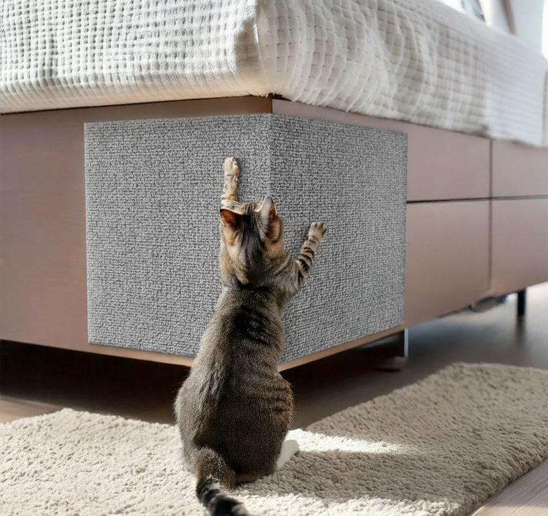 Arranhador Adesivo Premium: Sofá, Cama e Móveis Para Gato - Protetor Pet