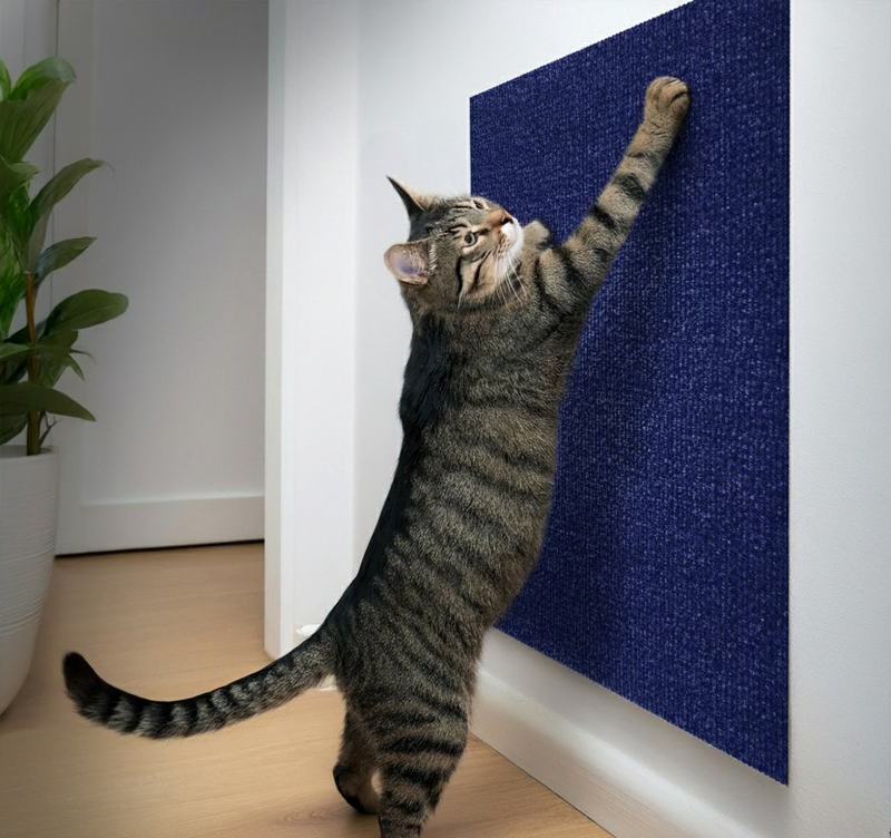 Arranhador Adesivo Premium: Sofá, Cama e Móveis Para Gato - Protetor Pet