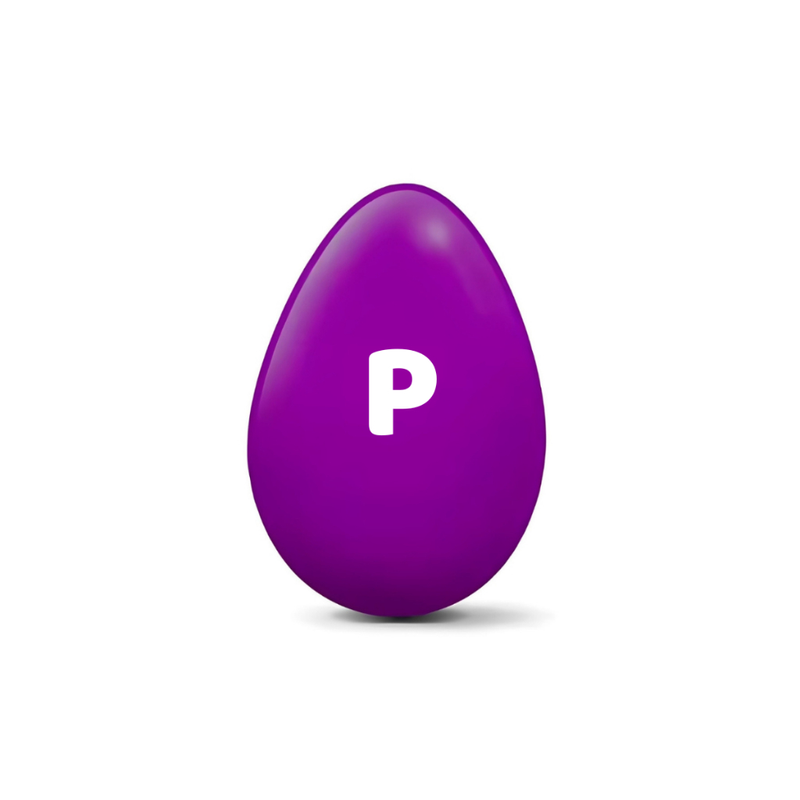 Brinquedo para Cachorro Pet Ovo Maluco Bolinha Interativa