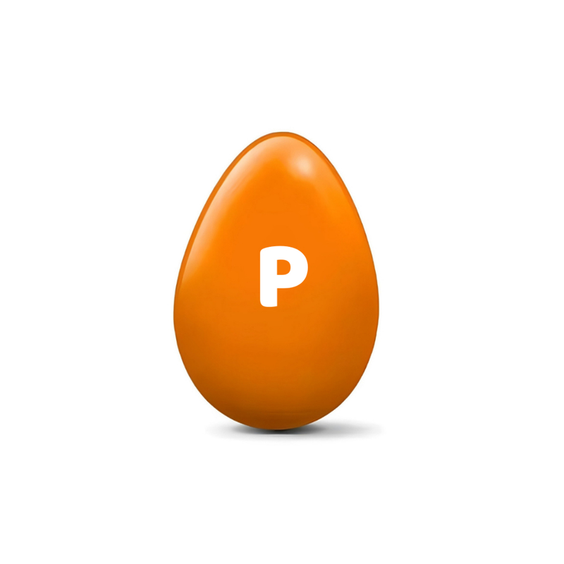 Brinquedo para Cachorro Pet Ovo Maluco Bolinha Interativa