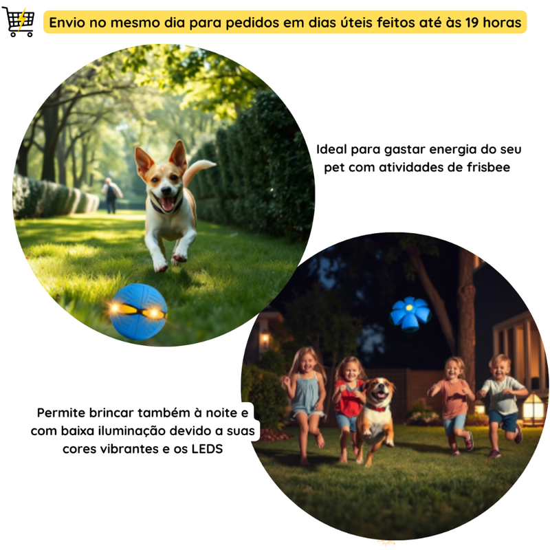 Bola Pet Mágica Disco que Pula com 3 LED para Filhotes e Cachorros