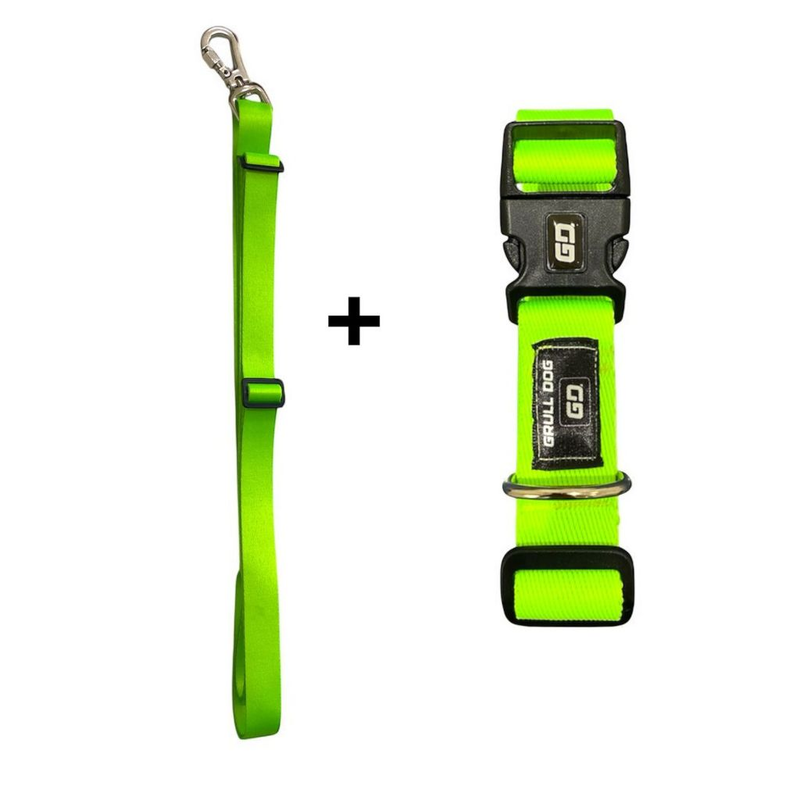 Kit Coleira Ajustável + Guia Mãos Livres 2m