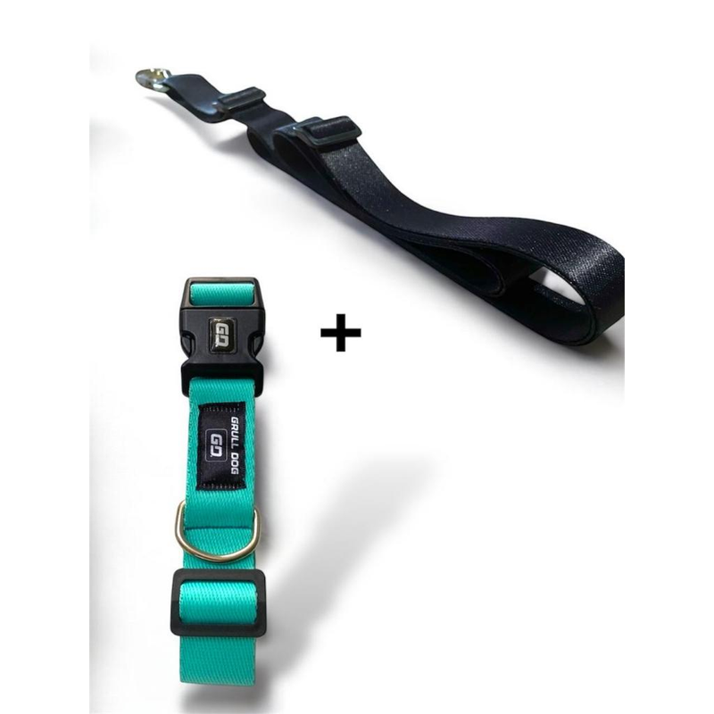 Kit Coleira Ajustável + Guia Mãos Livres 2m