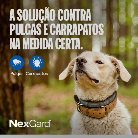 Antipulgas e carrapatos para cães de 25,1 a 50kg - 3 comprimidos