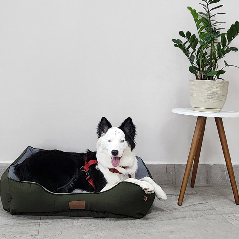 Cama grande 71x56 com ziper para cachorro de grande porte cachorros cães e gatos