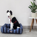 Cama grande 71x56 com ziper para cachorro de grande porte cachorros cães e gatos