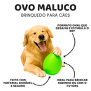 Brinquedo para Cachorro Pet Ovo Maluco Bolinha Interativa