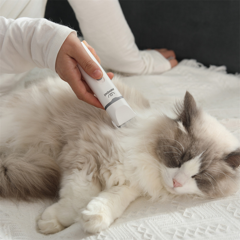 4 em 1 USB Recarregável kit De Aparador Elétrico De Pele Pata De Cão Para Animais De /Pequenos/Gatos/Cães