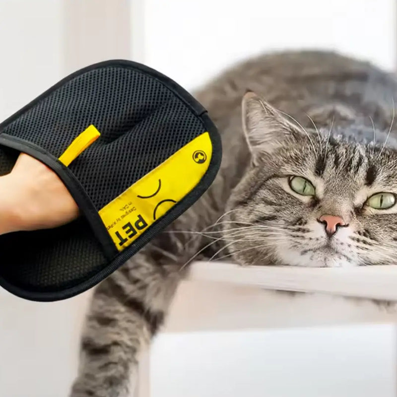 Luva Remove Pelos Pelutti™| Sua Roupa Limpa, Sua Casa Livre de Pelos