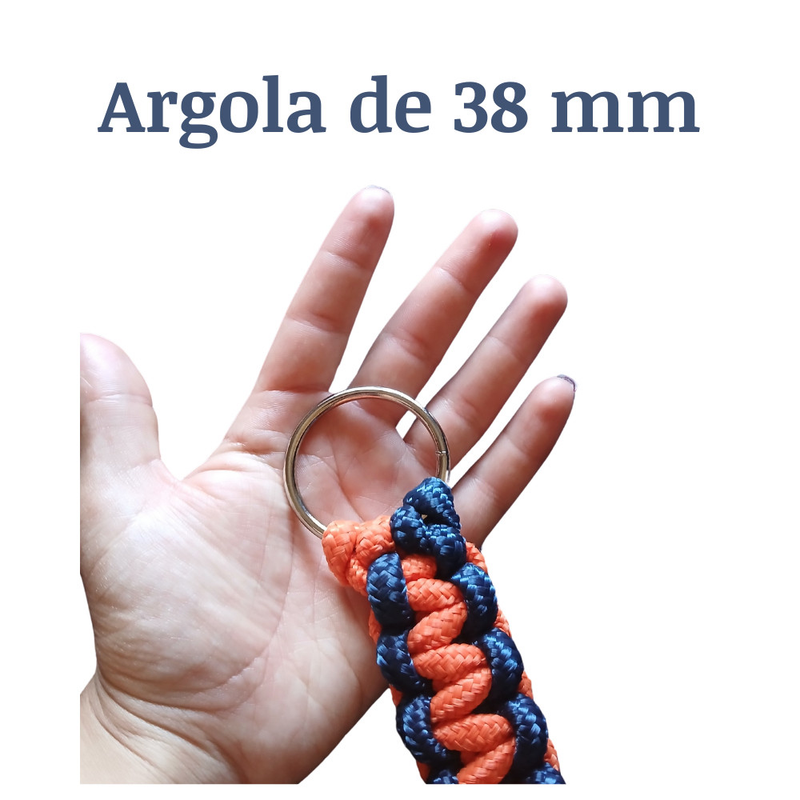 Guia Unificada para Passeio Coleira Resistente para Cachorro Labrador