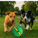 Bola Pet Mágica Disco que Pula com 3 LED para Filhotes e Cachorros